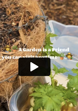 Sonas Spearwood – A Garden is a Friend You Can Visit Anytime… 💧🌱 